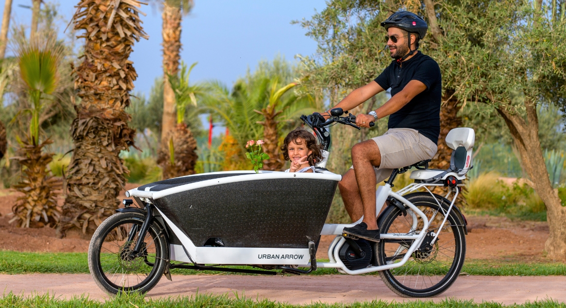 Moroccan Cargo